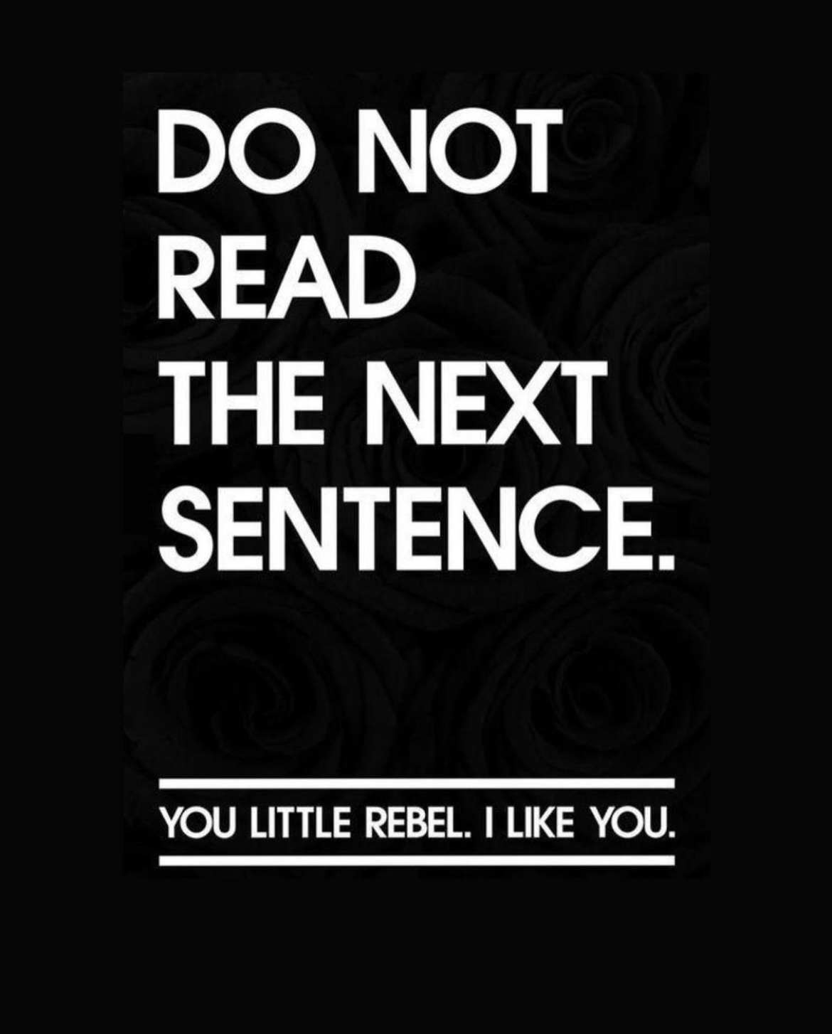 Don't read the next sentence! You're a little rebel, I like you.